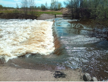 20210508 � �� 1100.jpg