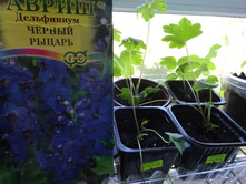 ���������� ������ ������