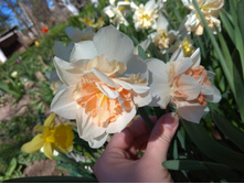 IMG 20180513 125959.jpg