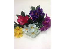 1836 ����� ������, 7 � 13 ���