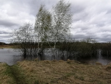 IMG 20210505 125445.jpg