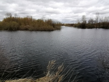 IMG 20210505 122305.jpg