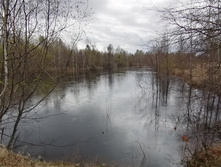 IMG 20210501 124328.jpg