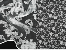 ������� ������ ������ 240.jpg