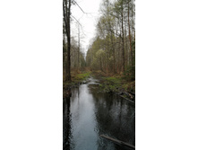 IMG 20210503 124300.jpg