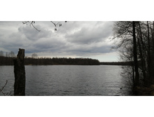 IMG 20210501 115219.jpg