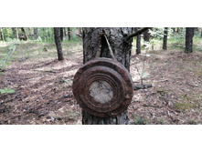 IMG 20210529 130935.jpg