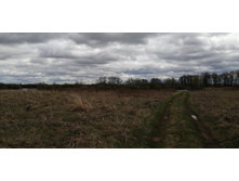 IMG 20210505 130354.jpg