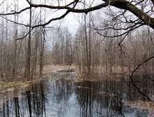 IMG 20210501 120943.jpg