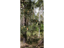 IMG 20210523 155207.jpg