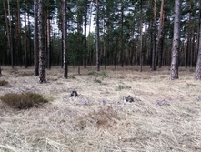 IMG 20210502 125315.jpg