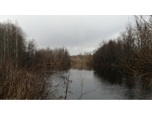 IMG 20210424 121501.jpg