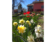 IMG 20180513 130205.jpg