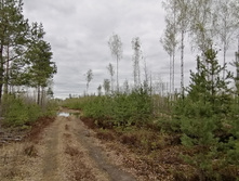 IMG 20210504 141909.jpg