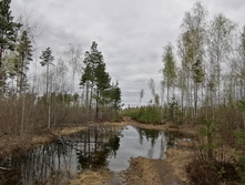 IMG 20210504 141737.jpg