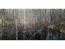 IMG 20210506 092900.jpg