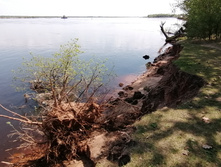 IMG 20210516 105527.jpg