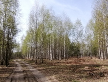 IMG 20210506 105120.jpg