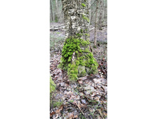 IMG 20210503 123149.jpg