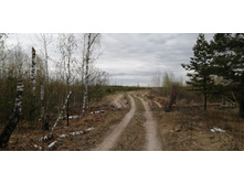 IMG 20210504 144430.jpg