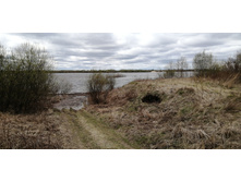 IMG 20210505 121510.jpg