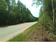 20210515 �-300 ���������� 132011.jpg