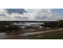 IMG 20210501 102419.jpg