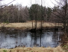 IMG 20210503 112037.jpg