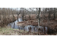 IMG 20210501 123922.jpg