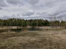 IMG 20210504 122158.jpg