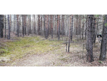 IMG 20210504 135935.jpg