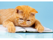 ���-�� � ��� ��� ����� ...