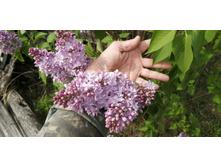 IMG 20210523 152143.jpg