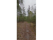 IMG 20210504 133516.jpg