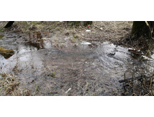 IMG 20210501 094402.jpg