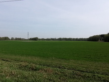 IMG 20210506 100448.jpg