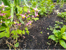 IMG 20210503 130711.jpg