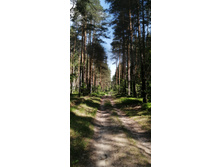 IMG 20210529 110310.jpg