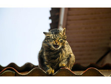 � �� ��� �����? � �� ��� ����!