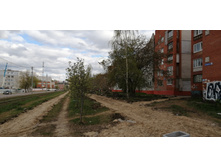 IMG 20210505 161659.jpg