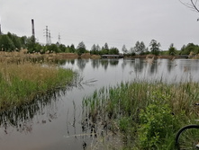 IMG 20210523 131307.jpg