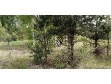 IMG 20210523 151651.jpg