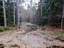 IMG 20210503 120538.jpg