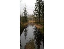 IMG 20210503 131853.jpg