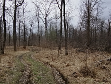 IMG 20210501 121129.jpg