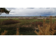 IMG 20210505 142627.jpg