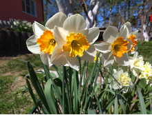 IMG 20180513 130223.jpg