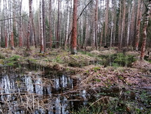 IMG 20210503 121701.jpg