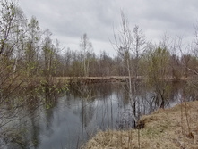 IMG 20210501 122128.jpg