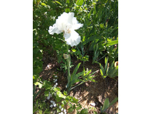 ����  ������ ������������ ����� ����